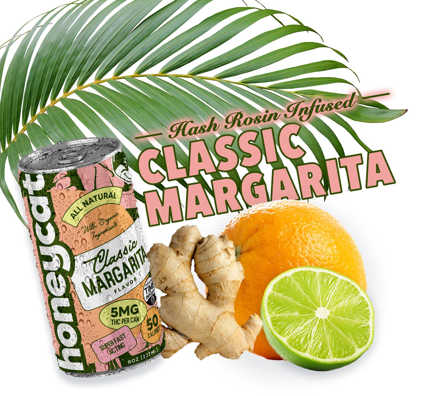 graphic image of classic margarita can with large palm frond above and ginger, orange and lime pieces